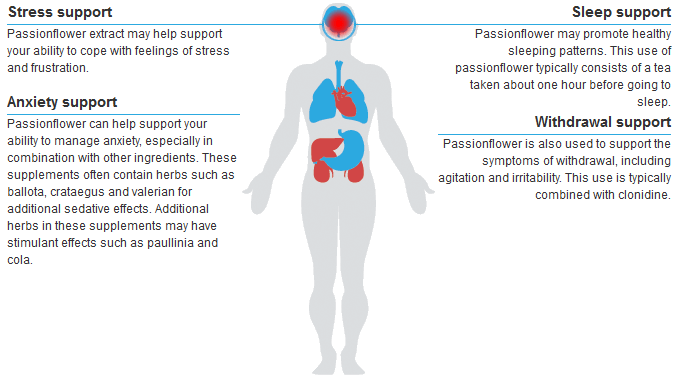 Passionflower Tincture image 1