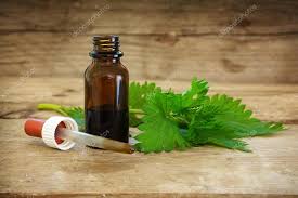 Stinging Nettle Herbal Extract  image 0