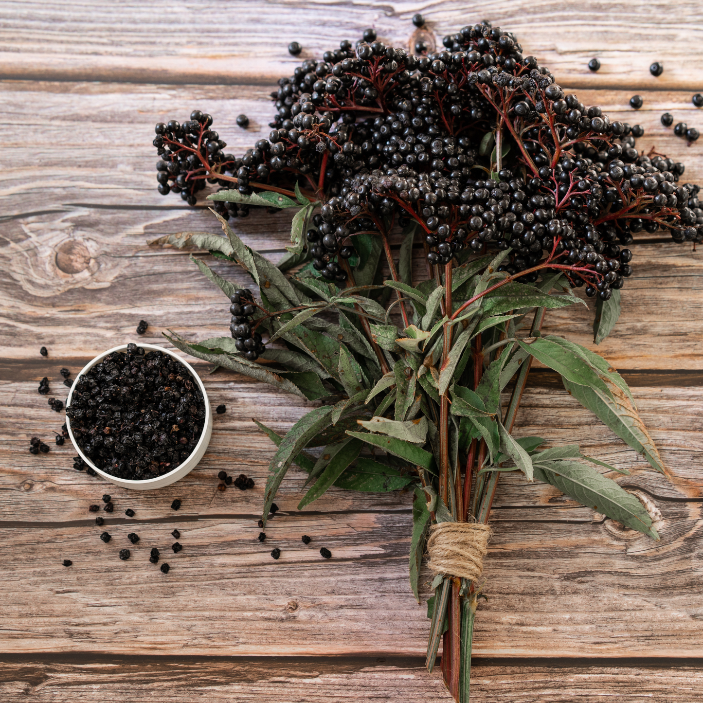 Dried Elderberries-50gm image 0